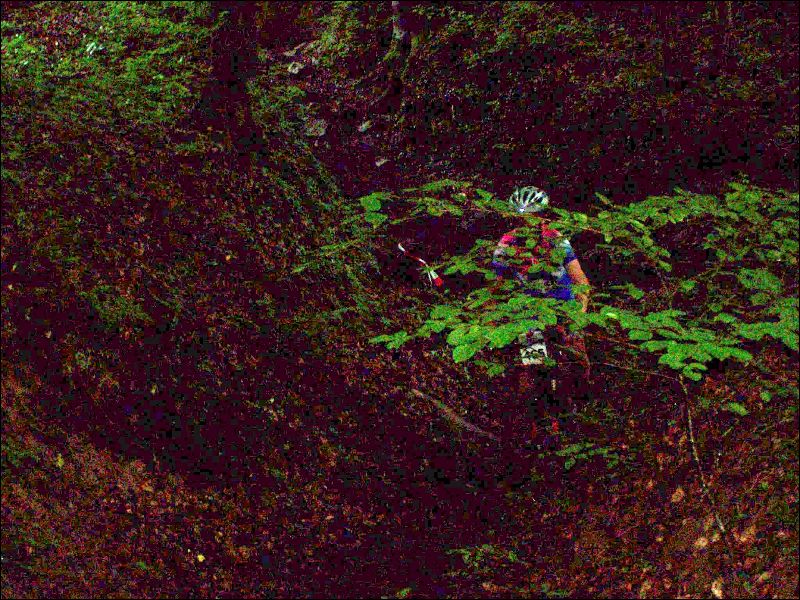 gal/Saison 2012/Coupe_Lorraine_Jeunes_VTT_Hettange_2012/100_5465.JPG